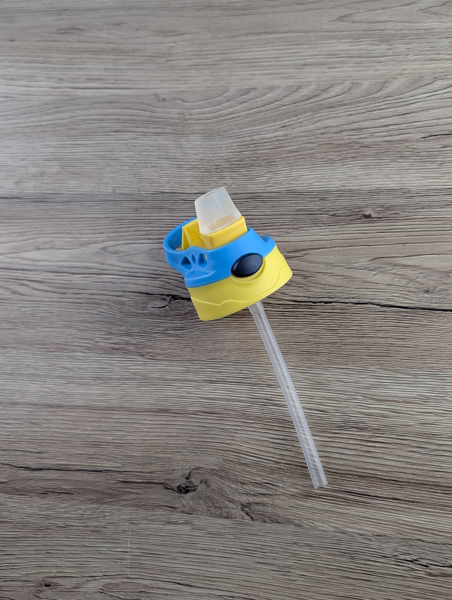 12oz Kids Flip Top with Bee & Honey