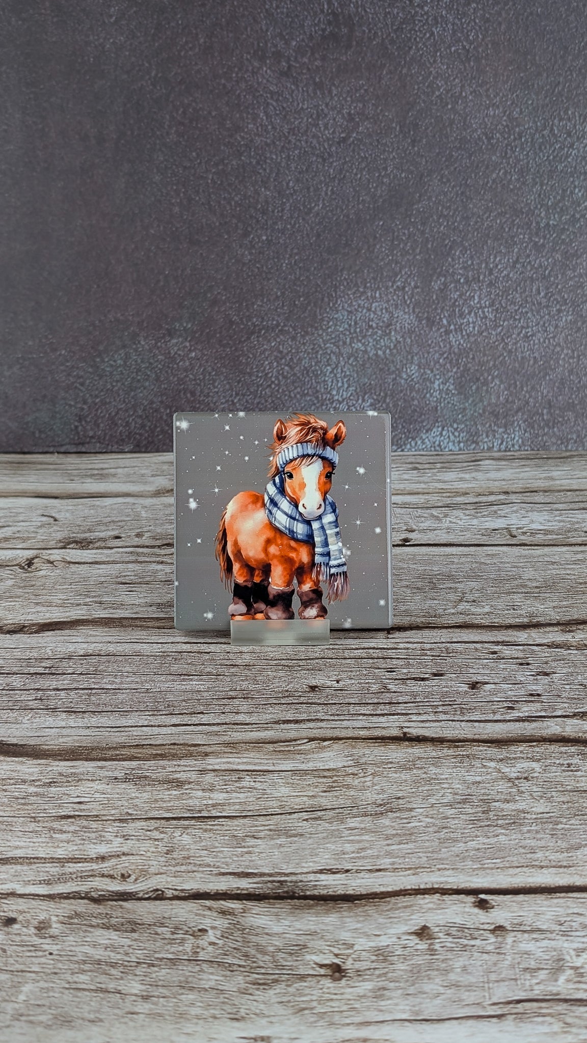 Christmas animal Ceramic Coasters - A & C Creative Concoctions