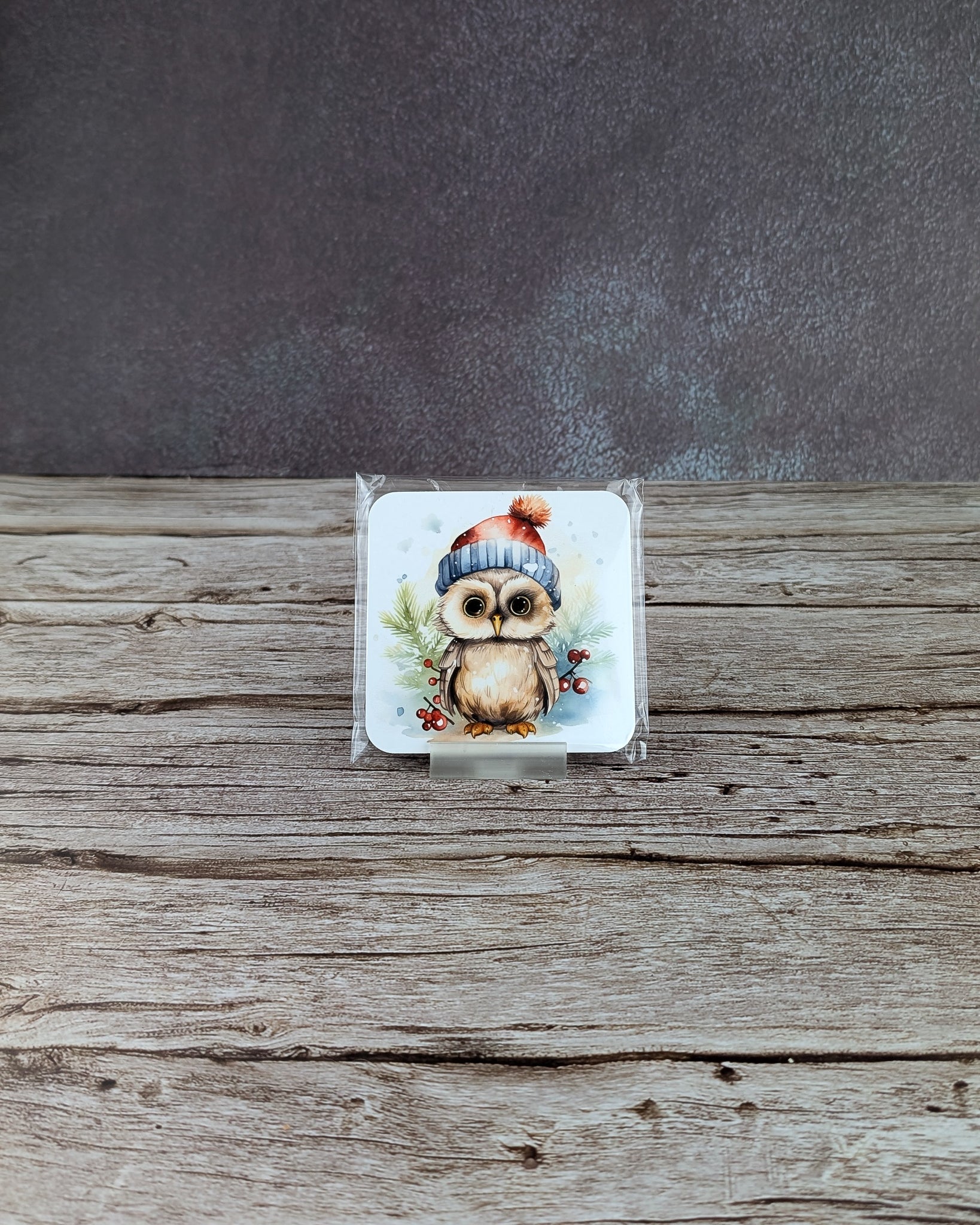 Christmas owl coasters Board Coaster - A & C Creative Concoctions