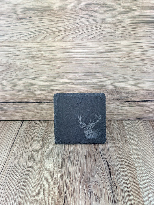 Slate Placemat & Coaster Set Animals